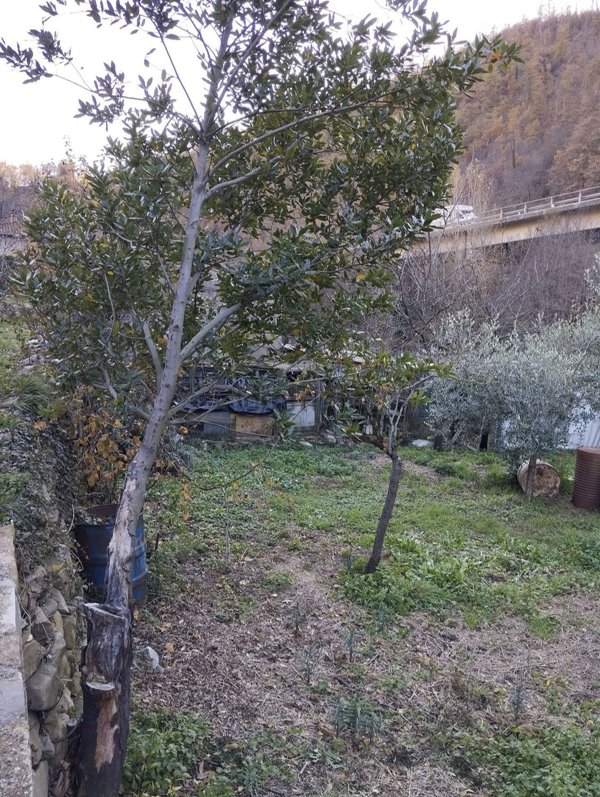 esavano in vendita a Pieve Santo Stefano