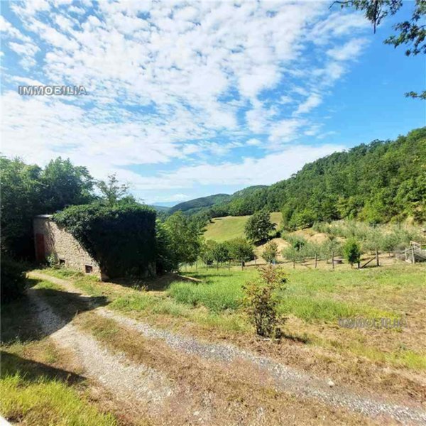 terreno agricolo in vendita a Pieve Santo Stefano