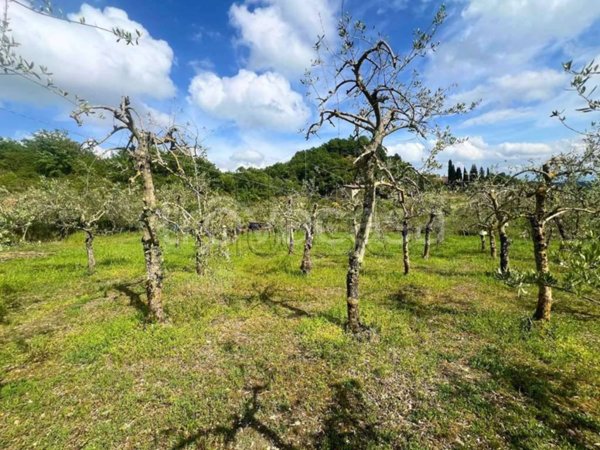 terreno agricolo in vendita a Pieve Santo Stefano