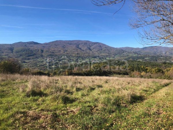 casa indipendente in vendita a Pieve Santo Stefano in zona Valsavignone