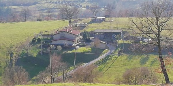 casa indipendente in vendita a Poppi in zona Ponte a Poppi