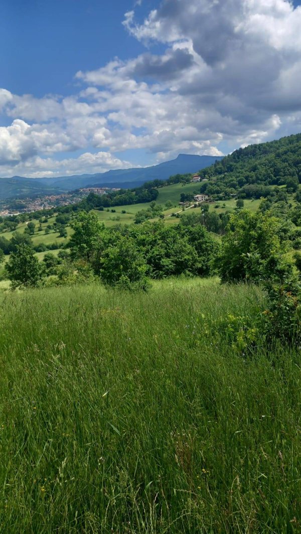 terreno edificabile in vendita a Poppi in zona Riosecco