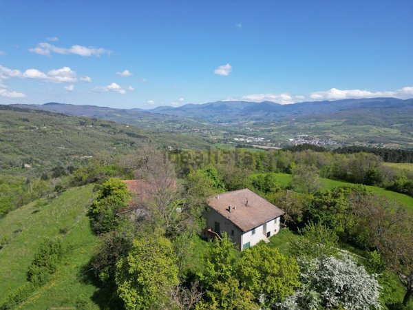 pentavano in vendita a Poppi