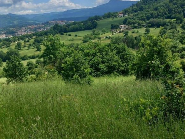 terreno agricolo in vendita a Poppi in zona Riosecco