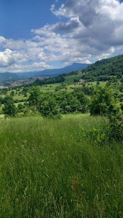 terreno agricolo in vendita a Poppi in zona Riosecco