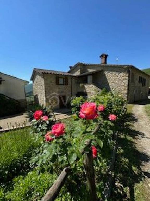 casa indipendente in vendita a Poppi