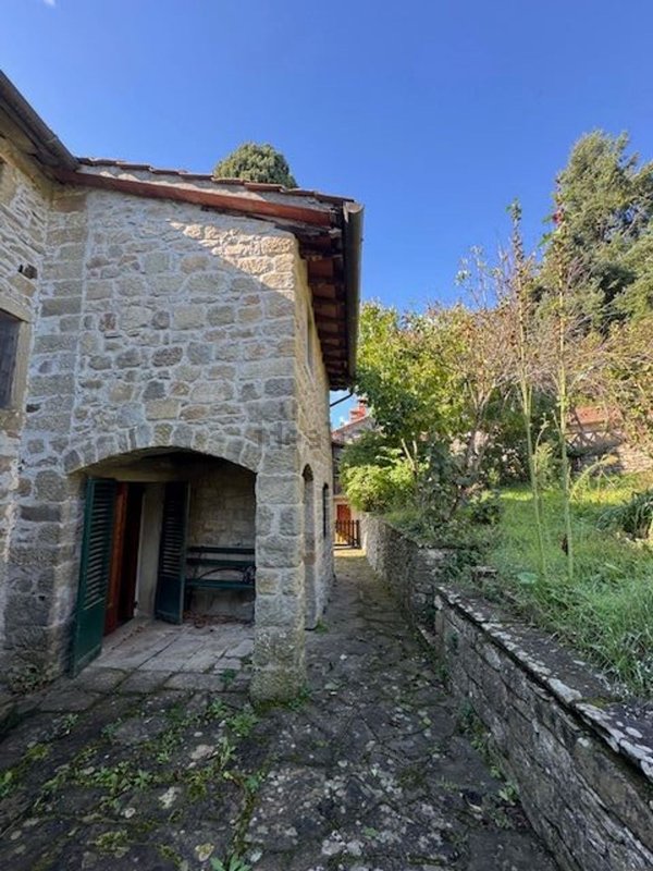esavano in vendita a Poppi in zona Lierna
