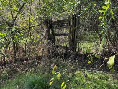 terreno agricolo in vendita a San Giovanni Valdarno