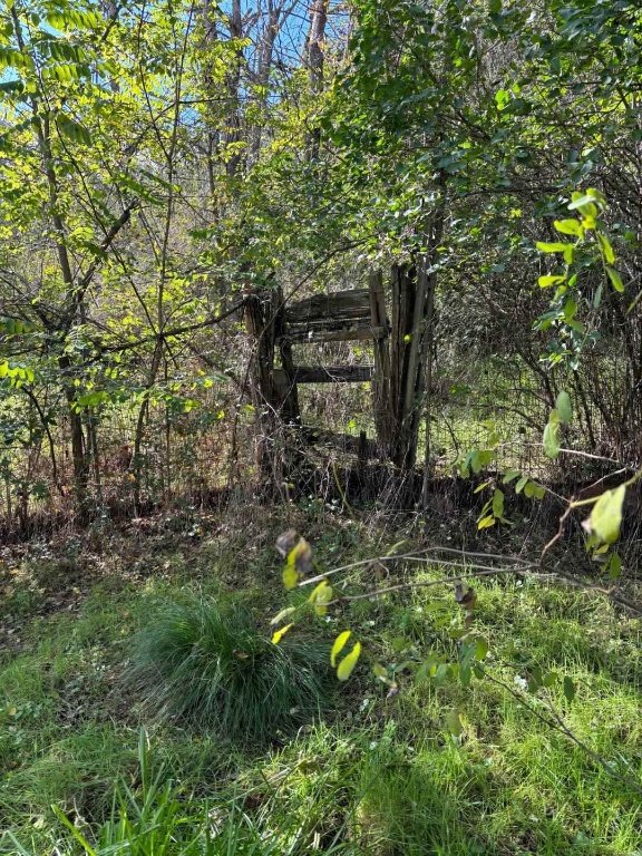 terreno agricolo in vendita a San Giovanni Valdarno