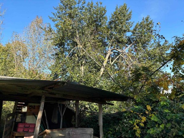 terreno agricolo in vendita a San Giovanni Valdarno
