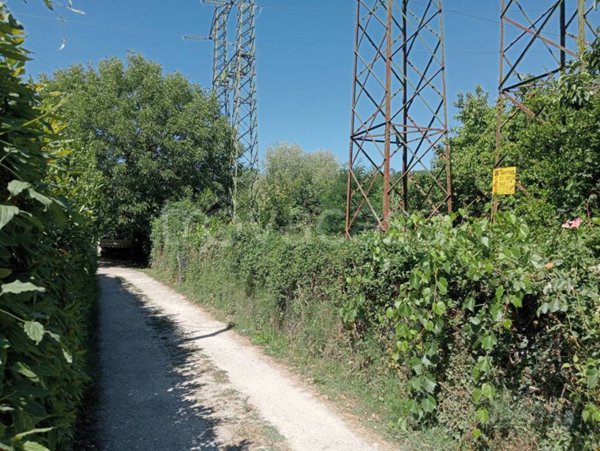 terreno agricolo in vendita a San Giovanni Valdarno in zona Montecarlo