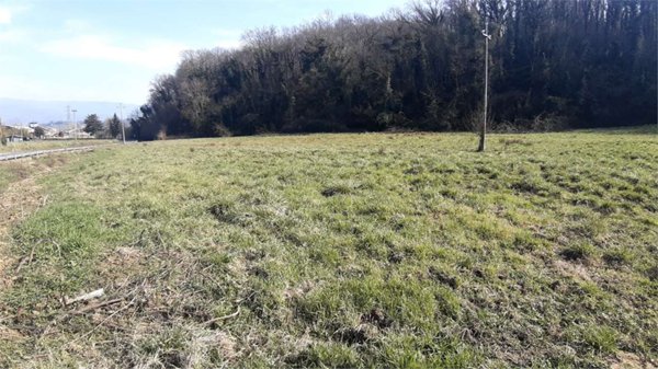terreno agricolo in vendita a San Giovanni Valdarno
