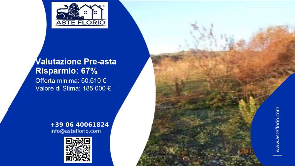 terreno agricolo in vendita a San Giovanni Valdarno