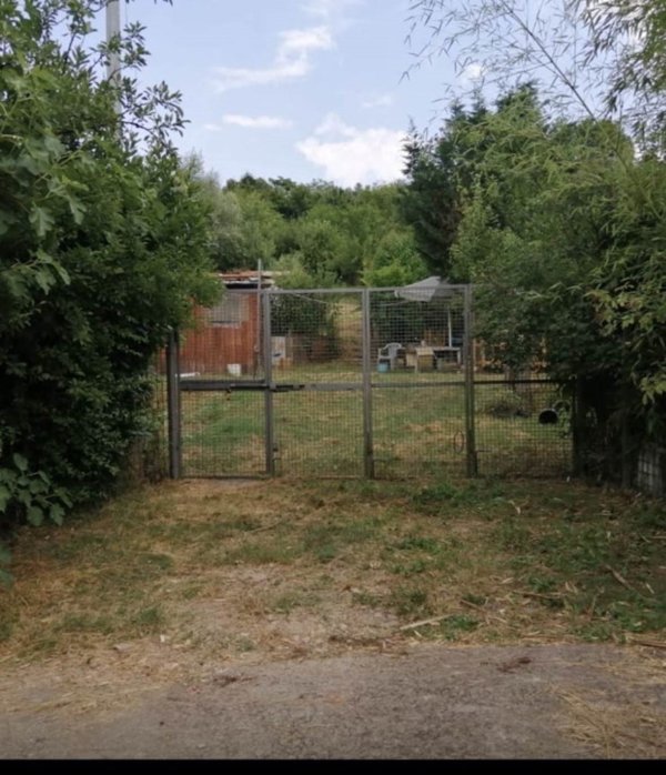 terreno agricolo in vendita a San Giovanni Valdarno