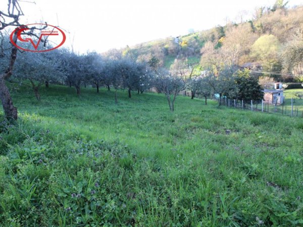 terreno agricolo in vendita a San Giovanni Valdarno