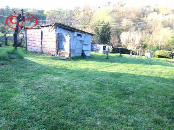 terreno agricolo in vendita a San Giovanni Valdarno