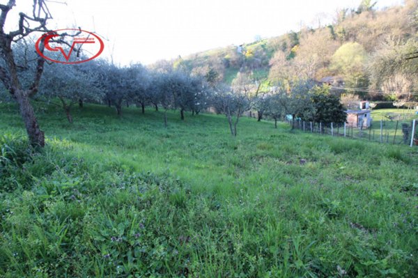 terreno agricolo in vendita a San Giovanni Valdarno
