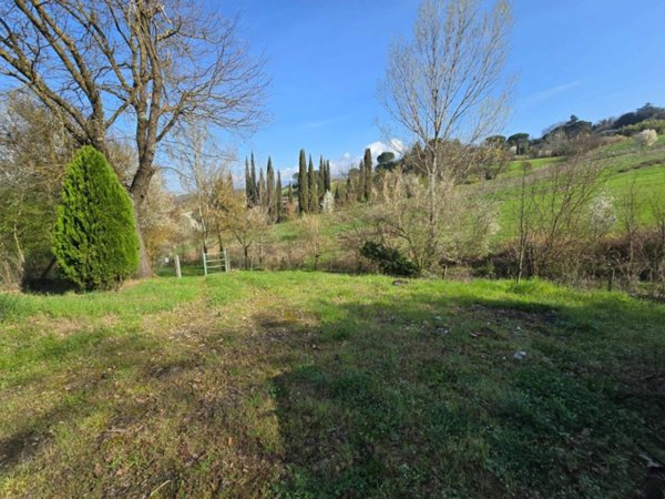 terreno agricolo in vendita a San Giovanni Valdarno