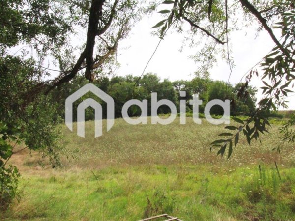 terreno agricolo in vendita a San Giovanni Valdarno