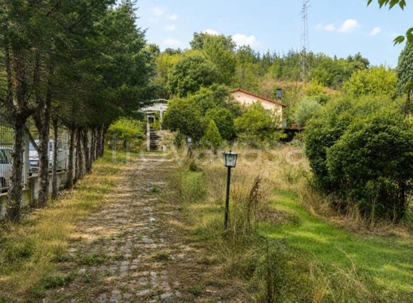 negozio in vendita a San Giovanni Valdarno