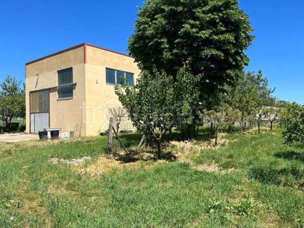 appartamento in vendita a Sansepolcro