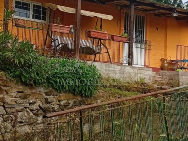 terreno agricolo in vendita a Sansepolcro