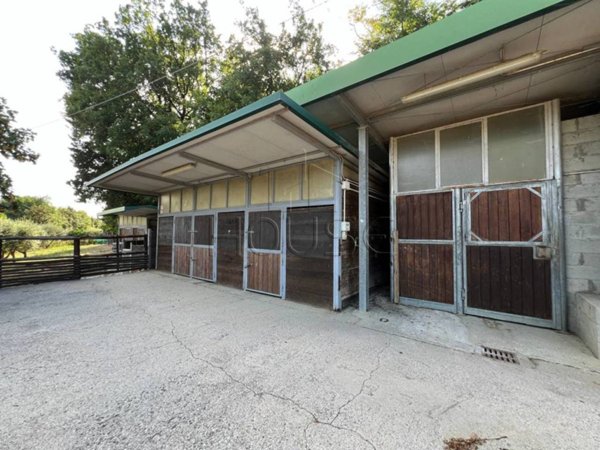 negozio in vendita a Sansepolcro