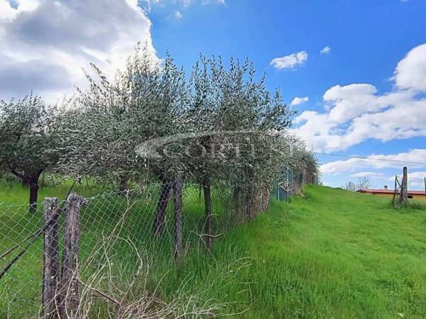appartamento in vendita a Sansepolcro