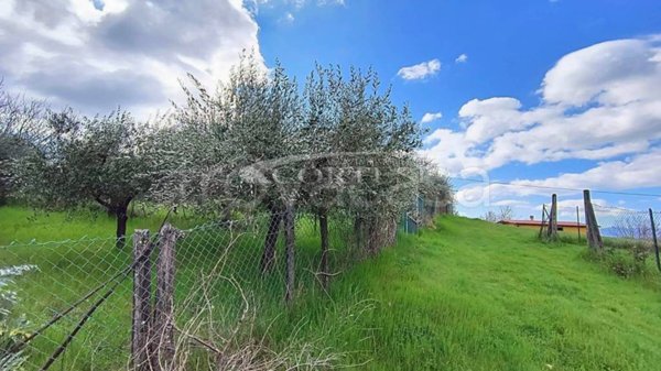 appartamento in vendita a Sansepolcro