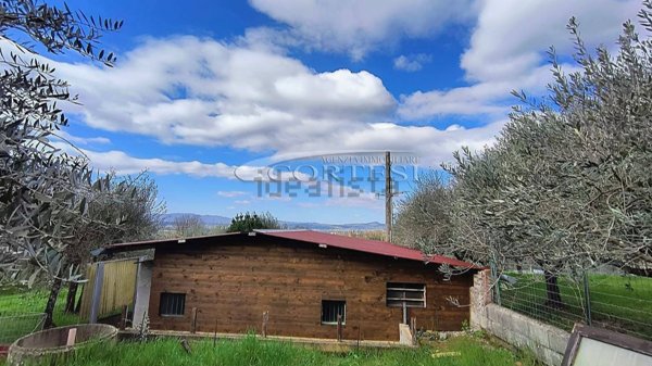 appartamento in vendita a Sansepolcro