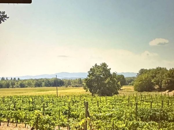 terreno agricolo in vendita a Sansepolcro