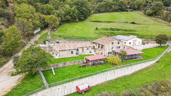negozio in vendita a Sansepolcro in zona Montagna