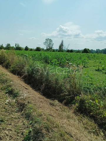 terreno agricolo in vendita a Sansepolcro