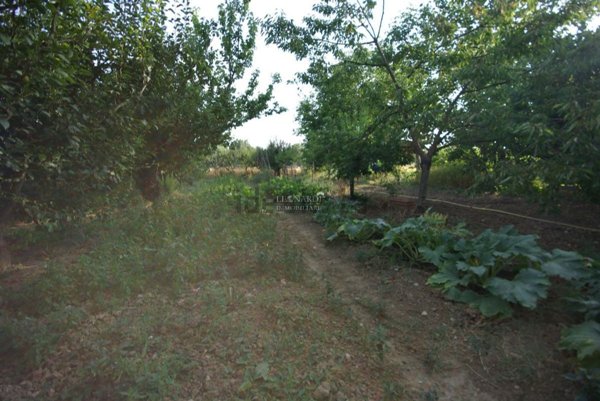 appartamento in vendita a Sansepolcro