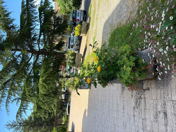 appartamento in vendita a Sansepolcro