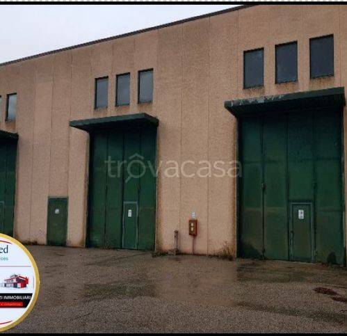 capannone in vendita a Sansepolcro