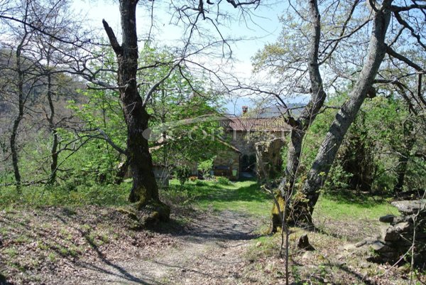 immagine annuncio 0 di 1