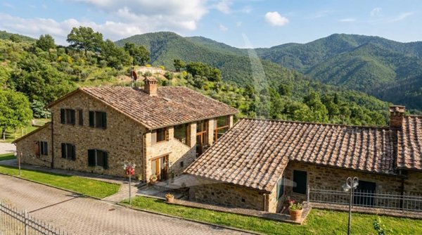 azienda agricola in vendita a Sansepolcro