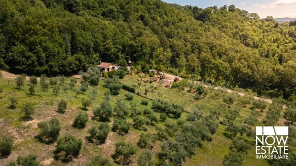 terreno agricolo in vendita a Sansepolcro