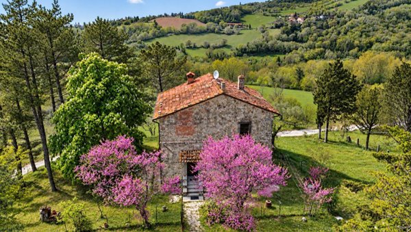 casale in vendita a Sansepolcro