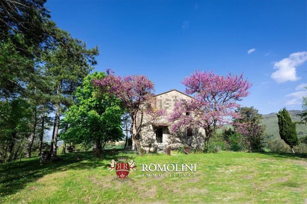 casa indipendente in vendita a Sansepolcro in zona Montagna