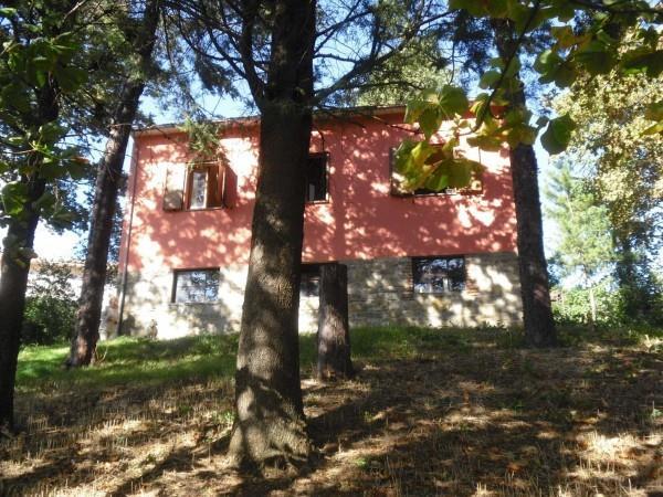 casa indipendente in vendita a Sestino in zona Ponte Presale