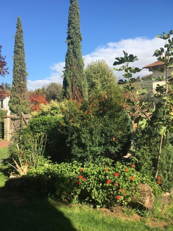 casa indipendente in vendita a Subbiano