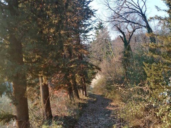terreno agricolo in vendita a Subbiano in zona MonteGiovi