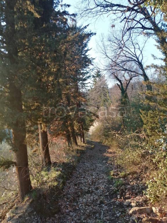 terreno agricolo in vendita a Subbiano in zona MonteGiovi