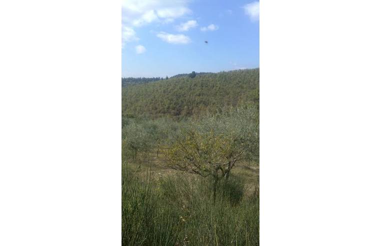 terreno agricolo in vendita a Subbiano
