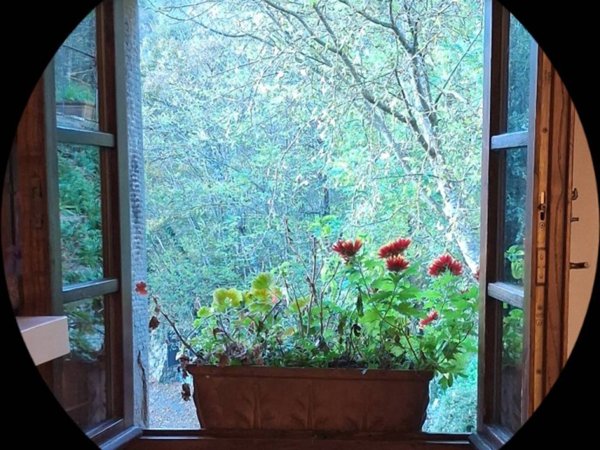 casa indipendente in vendita a Subbiano