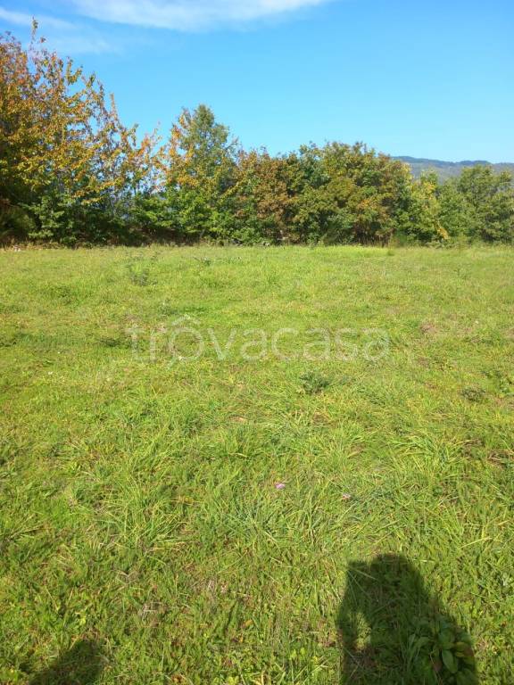terreno agricolo in vendita a Talla in zona Santo-Bagnena