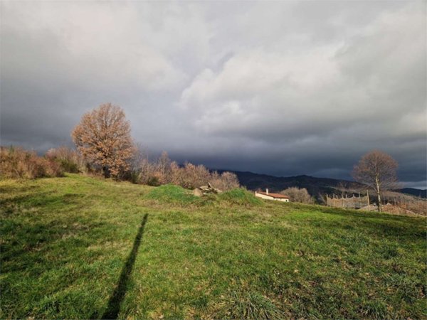monolocale in vendita a Talla
