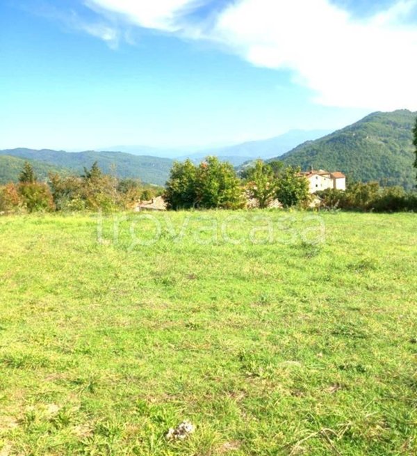 terreno agricolo in vendita a Talla in zona Santo-Bagnena